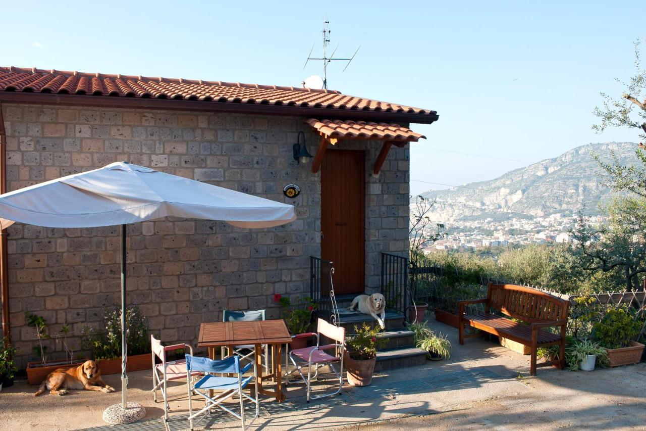 Agriturismo L'Olivara Piano di Sorrento Buitenkant foto