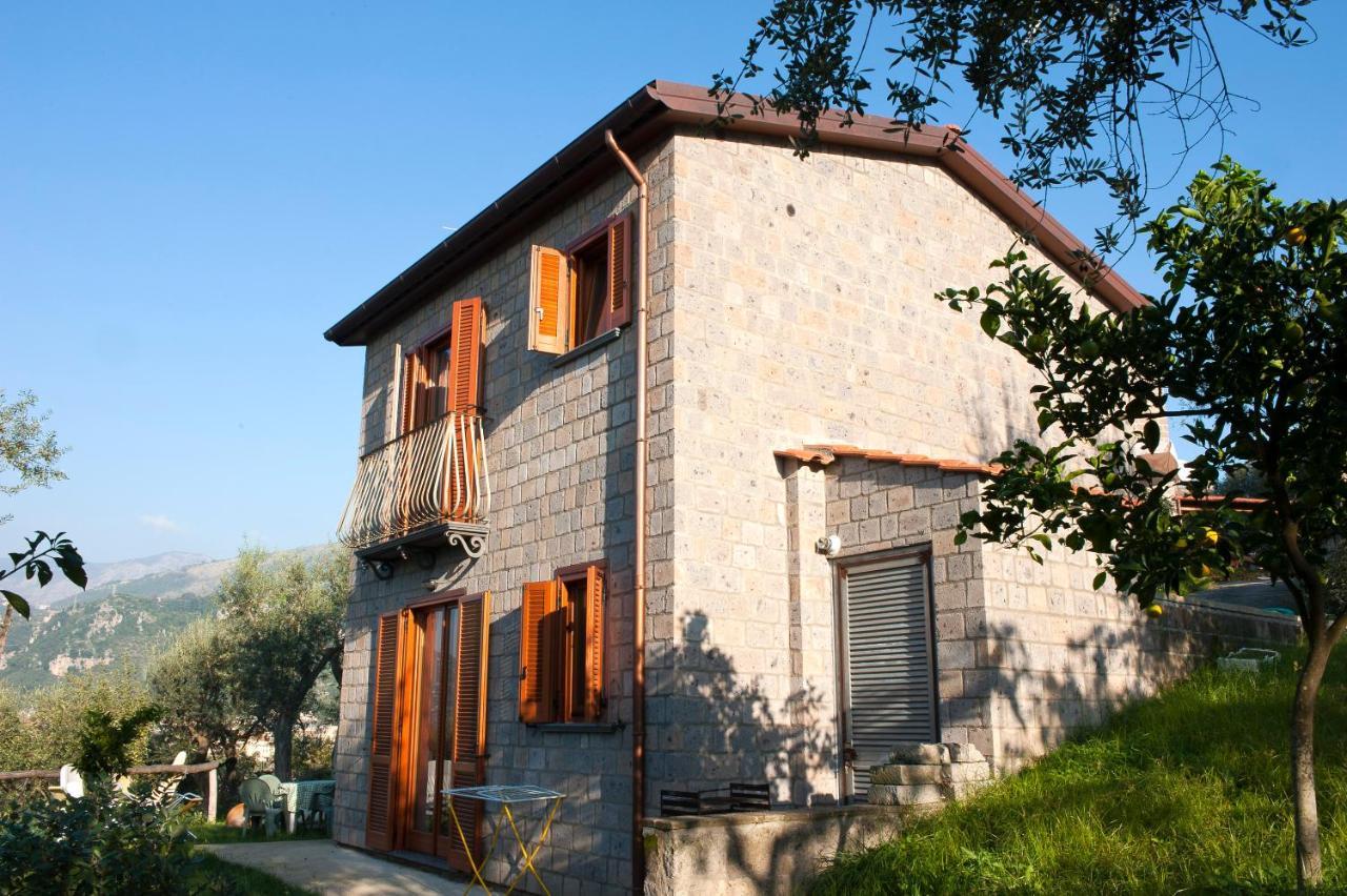 Agriturismo L'Olivara Piano di Sorrento Buitenkant foto