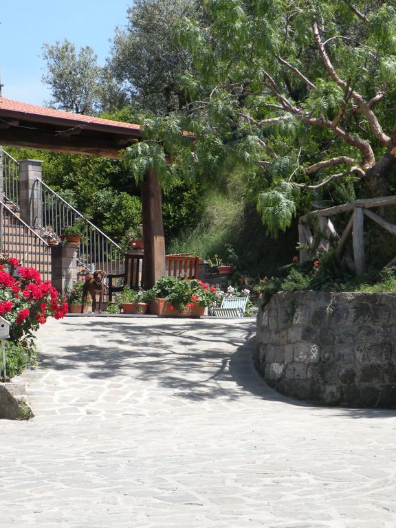 Agriturismo L'Olivara Piano di Sorrento Buitenkant foto