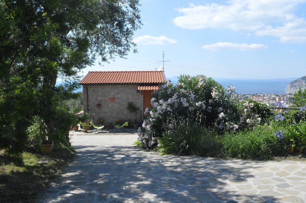 Agriturismo L'Olivara Piano di Sorrento Buitenkant foto