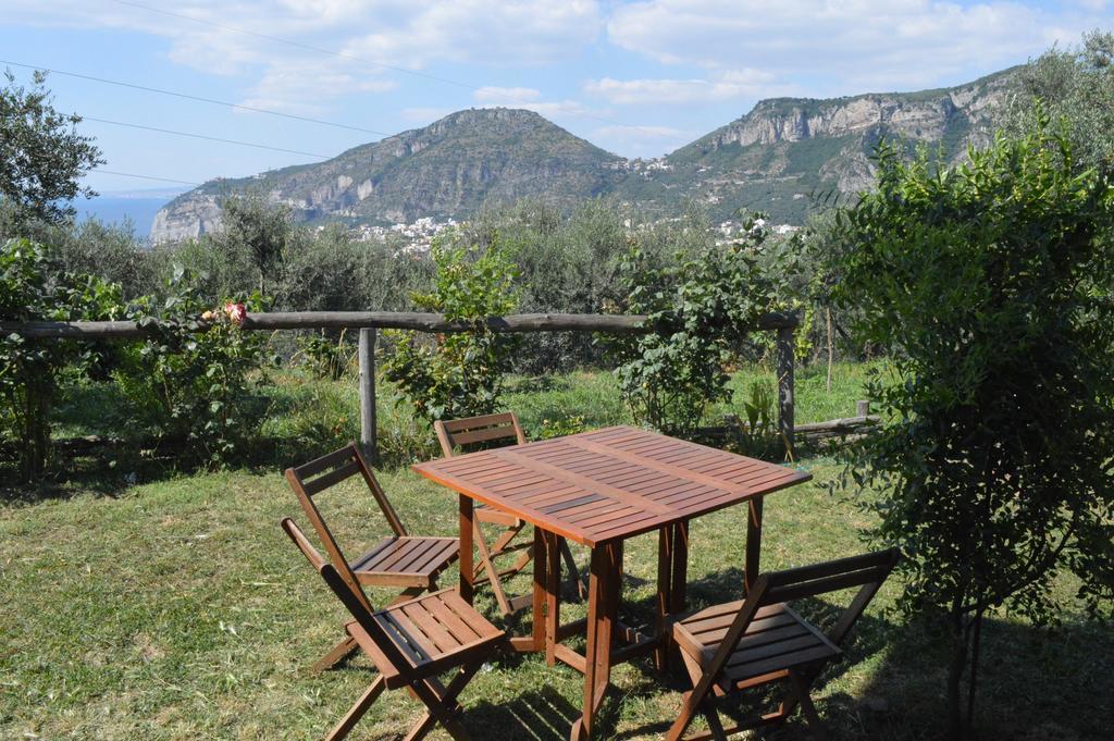 Agriturismo L'Olivara Piano di Sorrento Buitenkant foto