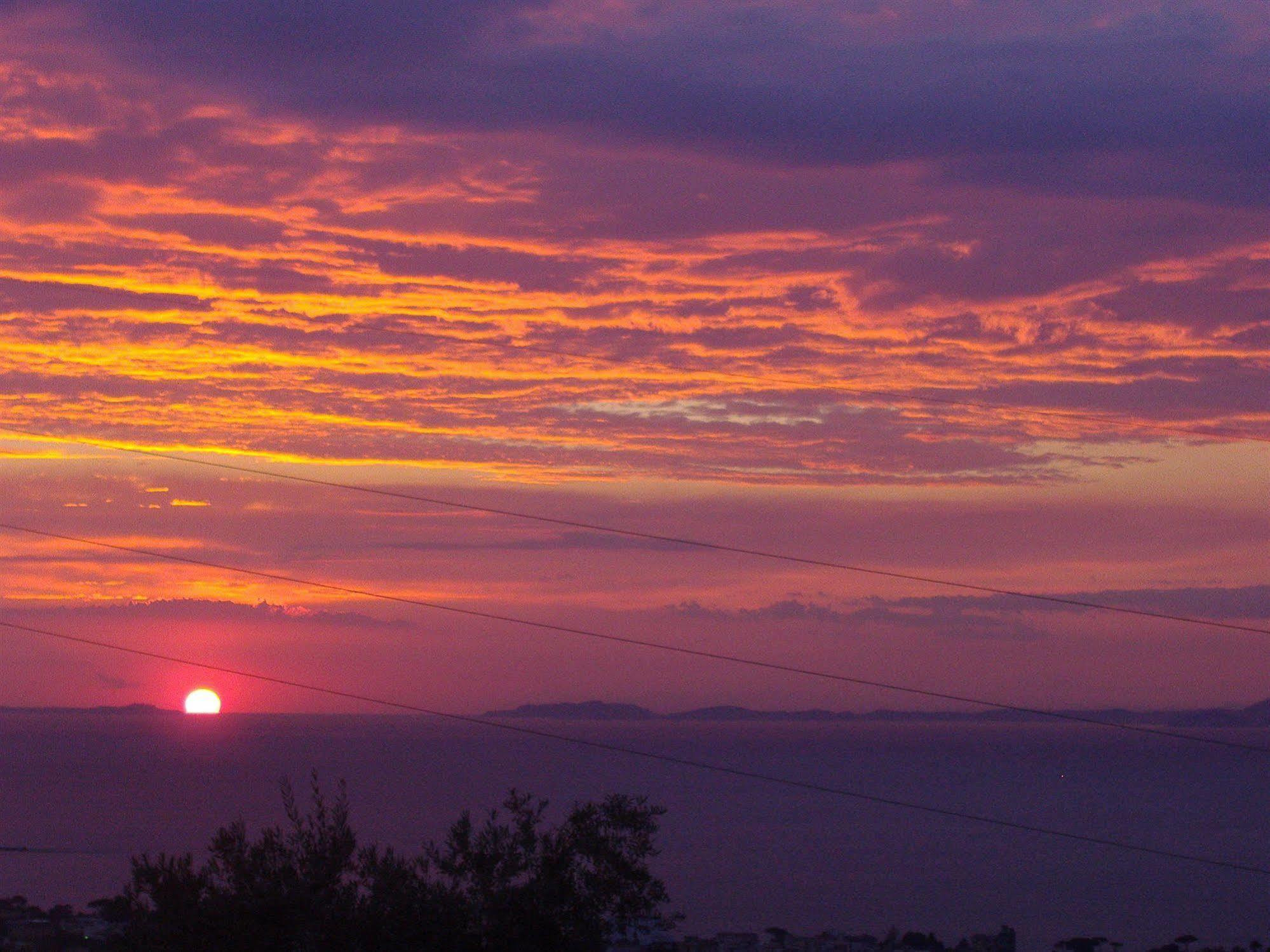 Agriturismo L'Olivara Piano di Sorrento Buitenkant foto