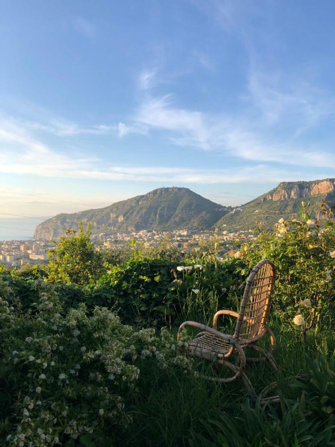 Agriturismo L'Olivara Piano di Sorrento Buitenkant foto