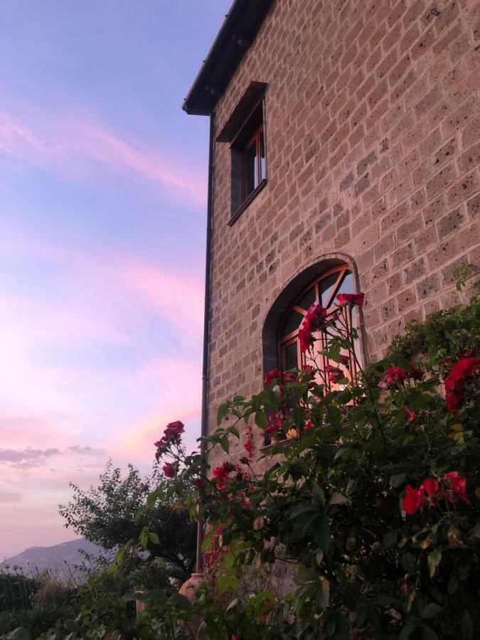 Agriturismo L'Olivara Piano di Sorrento Buitenkant foto